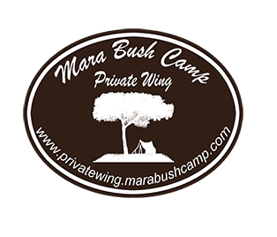 mara bush camp pirate wing partner logo
